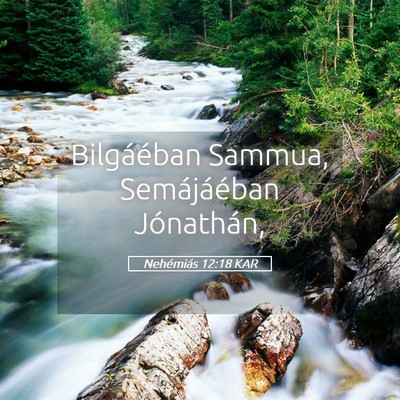 Picture 05 - Nehémiás 12:18 KAR - Bilgáéban Sammua, Semájáéban - Bible Verse Picture