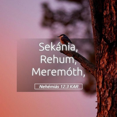 Picture 05 - Nehémiás 12:3 KAR - Sekánia, Rehum, - Bible Verse Picture