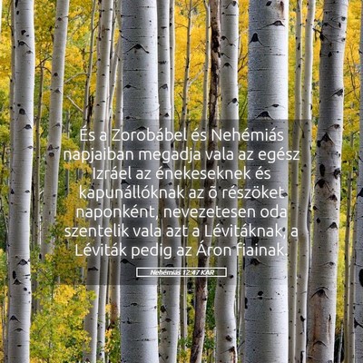 Picture 05 - Nehémiás 12:47 KAR - És a Zorobábel és Nehémiás napjaiban megadja - Bible Verse Picture