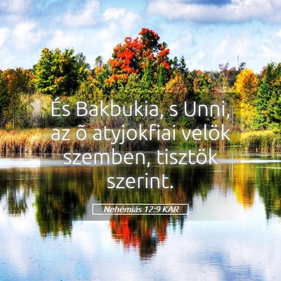 Picture 05 - Nehémiás 12:9 KAR - És Bakbukia, s Unni, az õ atyjokfiai velök - Bible Verse Picture