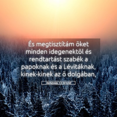 Picture 05 - Nehémiás 13:30 KAR - És megtisztítám õket minden idegenektõl és - Bible Verse Picture