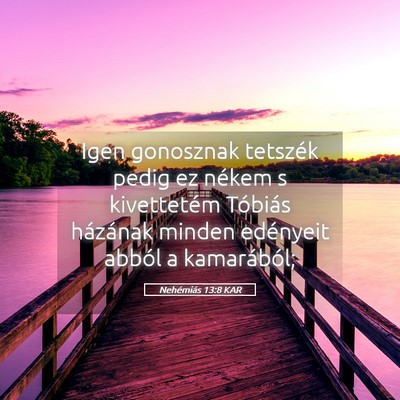 Picture 05 - Nehémiás 13:8 KAR - Igen gonosznak tetszék pedig ez nékem s - Bible Verse Picture