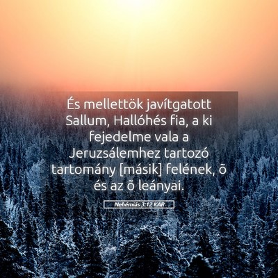 Picture 05 - Nehémiás 3:12 KAR - És mellettök javítgatott Sallum, Hallóhés - Bible Verse Picture