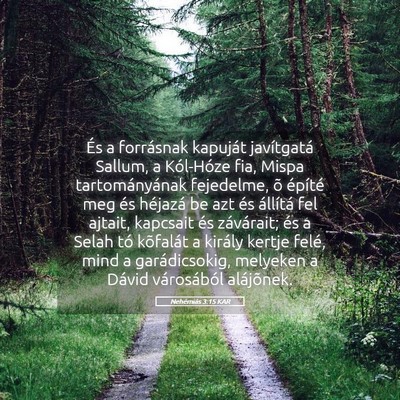Picture 05 - Nehémiás 3:15 KAR - És a forrásnak kapuját javítgatá Sallum, a - Bible Verse Picture
