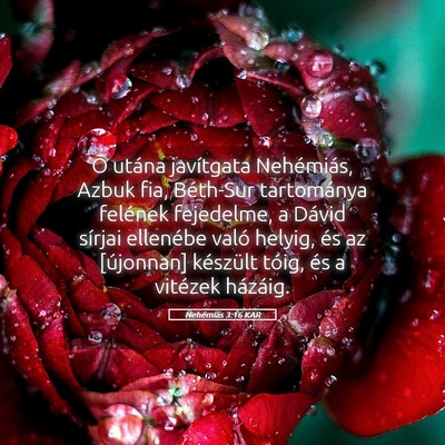 Picture 05 - Nehémiás 3:16 KAR - Õ utána javítgata Nehémiás, Azbuk fia, - Bible Verse Picture