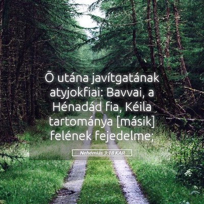 Picture 05 - Nehémiás 3:18 KAR - Õ utána javítgatának atyjokfiai: Bavvai, a - Bible Verse Picture