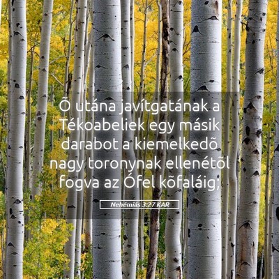 Picture 05 - Nehémiás 3:27 KAR - Õ utána javítgatának a Tékoabeliek egy - Bible Verse Picture