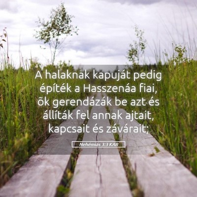 Picture 05 - Nehémiás 3:3 KAR - A halaknak kapuját pedig építék a Hasszenáa - Bible Verse Picture