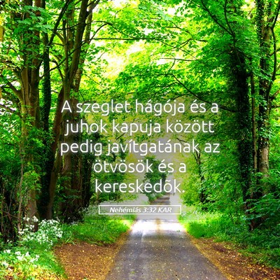 Picture 05 - Nehémiás 3:32 KAR - A szeglet hágója és a juhok kapuja között - Bible Verse Picture
