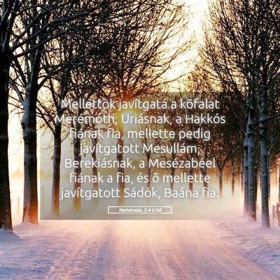 Picture 05 - Nehémiás 3:4 KAR - Mellettök javítgatá a kõfalat Merémóth, - Bible Verse Picture