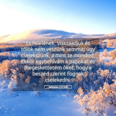 Picture 05 - Nehémiás 5:12 KAR - És felelének: Visszaadjuk és tõlök nem - Bible Verse Picture
