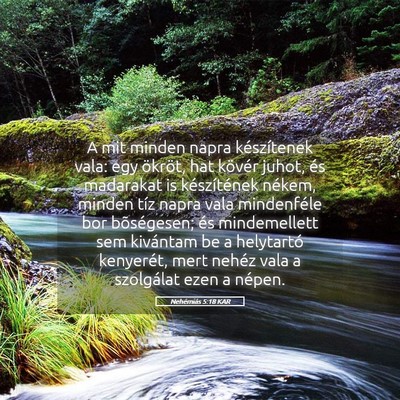 Picture 05 - Nehémiás 5:18 KAR - A mit minden napra készítenek vala: egy - Bible Verse Picture