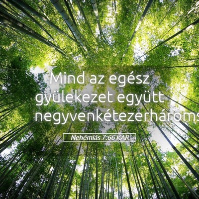 Picture 05 - Nehémiás 7:66 KAR - Mind az egész gyülekezet együtt - Bible Verse Picture