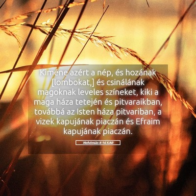 Picture 05 - Nehémiás 8:16 KAR - Kiméne azért a nép, és hozának [lombokat,] - Bible Verse Picture