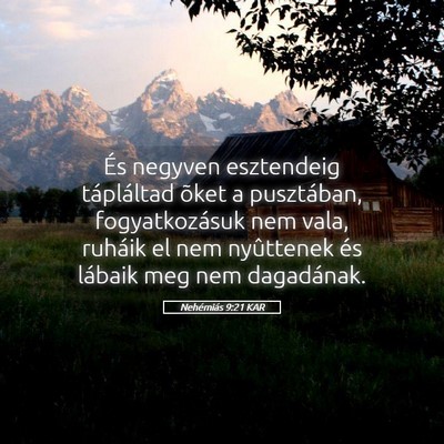 Picture 05 - Nehémiás 9:21 KAR - És negyven esztendeig tápláltad õket a - Bible Verse Picture