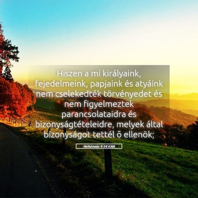 Picture 05 - Nehémiás 9:34 KAR - Hiszen a mi királyaink, fejedelmeink, papjaink - Bible Verse Picture