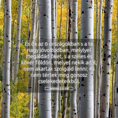 Picture 05 - Nehémiás 9:35 KAR - És õk az õ országokban s a te nagy - Bible Verse Picture