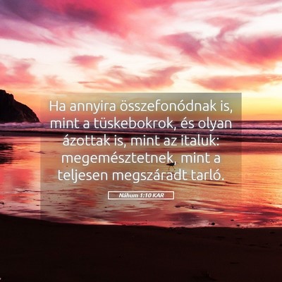 Picture 05 - Náhum 1:10 KAR - Ha annyira összefonódnak is, mint a - Bible Verse Picture