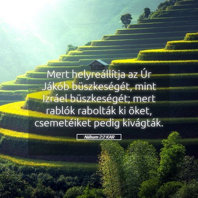 Picture 05 - Náhum 2:2 KAR - Mert helyreállítja az Úr Jákób - Bible Verse Picture