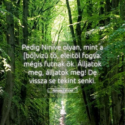 Picture 05 - Náhum 2:8 KAR - Pedig Ninive olyan, mint a [bõ]vizû tó, - Bible Verse Picture