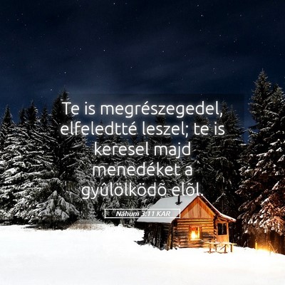 Picture 05 - Náhum 3:11 KAR - Te is megrészegedel, elfeledtté leszel; te is - Bible Verse Picture
