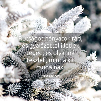 Picture 05 - Náhum 3:6 KAR - Rútságot hányatok rád, és gyalázattal - Bible Verse Picture