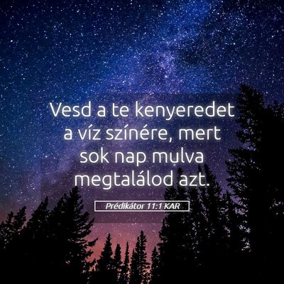 Picture 05 - Prédikátor 11:1 KAR - Vesd a te kenyeredet a víz színére, mert sok - Bible Verse Picture
