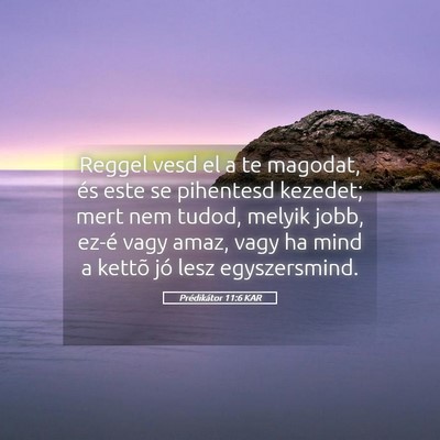Picture 05 - Prédikátor 11:6 KAR - Reggel vesd el a te magodat, és este se - Bible Verse Picture