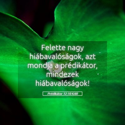 Picture 05 - Prédikátor 12:10 KAR - Felette nagy hiábavalóságok, azt mondja a - Bible Verse Picture