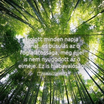 Picture 05 - Prédikátor 2:24 KAR - Holott minden napja bánat, és búsulás az õ - Bible Verse Picture