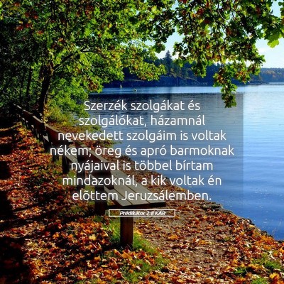 Picture 05 - Prédikátor 2:8 KAR - Szerzék szolgákat és szolgálókat, házamnál - Bible Verse Picture