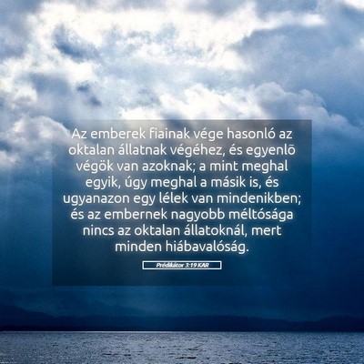 Picture 05 - Prédikátor 3:19 KAR - Az emberek fiainak vége hasonló az oktalan - Bible Verse Picture
