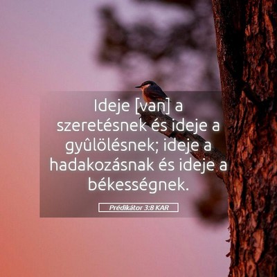 Picture 05 - Prédikátor 3:8 KAR - Ideje [van] a szeretésnek és ideje a - Bible Verse Picture