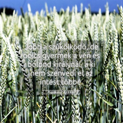 Picture 05 - Prédikátor 4:13 KAR - Jobb a szûkölködõ, de bölcs gyermek a vén - Bible Verse Picture