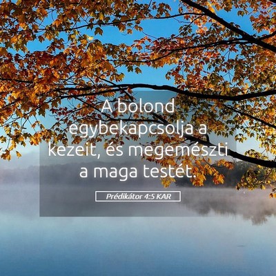 Picture 05 - Prédikátor 4:5 KAR - A bolond egybekapcsolja a kezeit, és megemészti - Bible Verse Picture