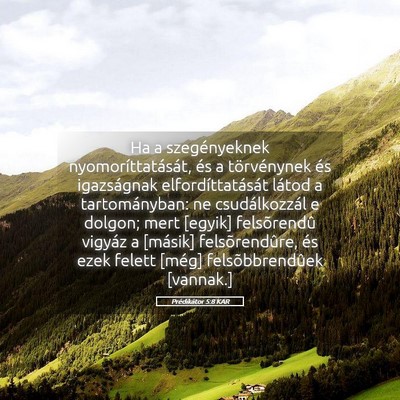 Picture 05 - Prédikátor 5:8 KAR - Ha a szegényeknek nyomoríttatását, és a - Bible Verse Picture