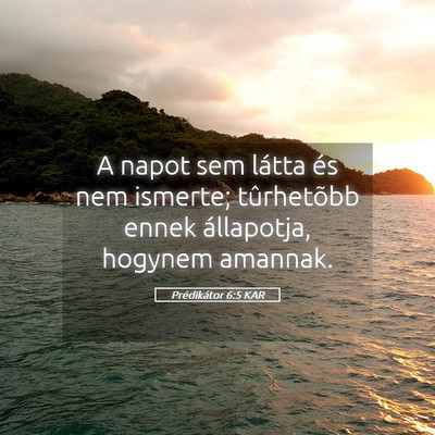 Picture 05 - Prédikátor 6:5 KAR - A napot sem látta és nem ismerte; tûrhetõbb - Bible Verse Picture