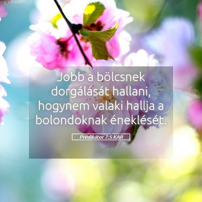 Picture 05 - Prédikátor 7:5 KAR - Jobb a bölcsnek dorgálását hallani, hogynem - Bible Verse Picture