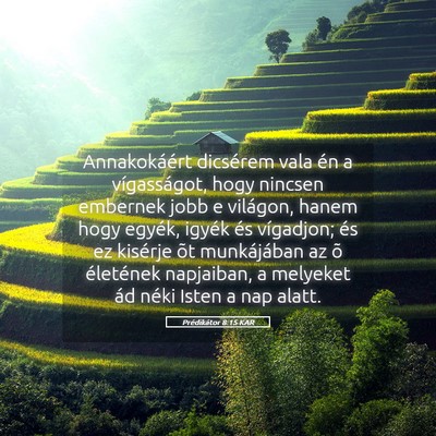 Picture 05 - Prédikátor 8:15 KAR - Annakokáért dicsérem vala én a vígasságot, - Bible Verse Picture
