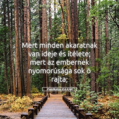 Picture 05 - Prédikátor 8:6 KAR - Mert minden akaratnak van ideje és ítélete; - Bible Verse Picture