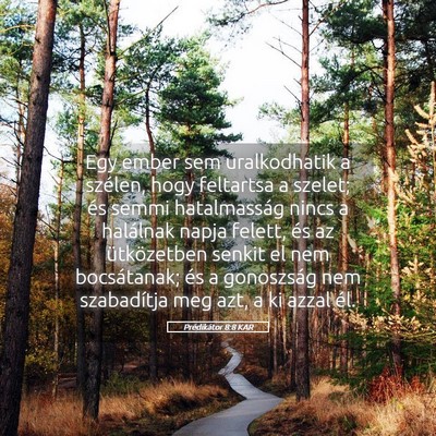 Picture 05 - Prédikátor 8:8 KAR - Egy ember sem uralkodhatik a szélen, hogy - Bible Verse Picture