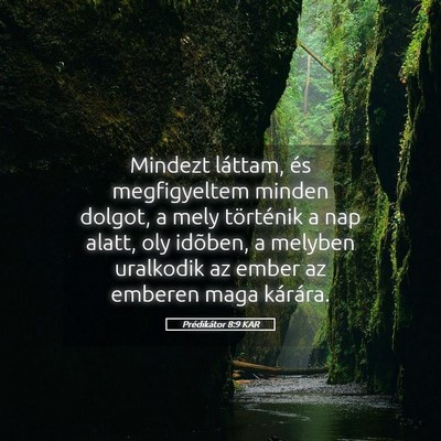 Picture 05 - Prédikátor 8:9 KAR - Mindezt láttam, és megfigyeltem minden dolgot, - Bible Verse Picture