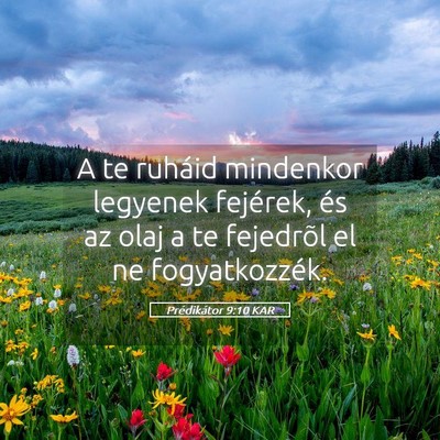 Picture 05 - Prédikátor 9:10 KAR - A te ruháid mindenkor legyenek fejérek, és az - Bible Verse Picture