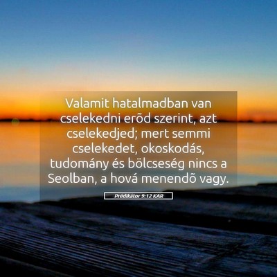 Picture 05 - Prédikátor 9:12 KAR - Valamit hatalmadban van cselekedni erõd szerint, - Bible Verse Picture