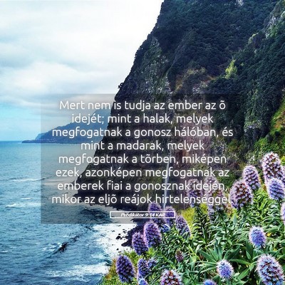 Picture 05 - Prédikátor 9:14 KAR - Mert nem is tudja az ember az õ idejét; mint a - Bible Verse Picture
