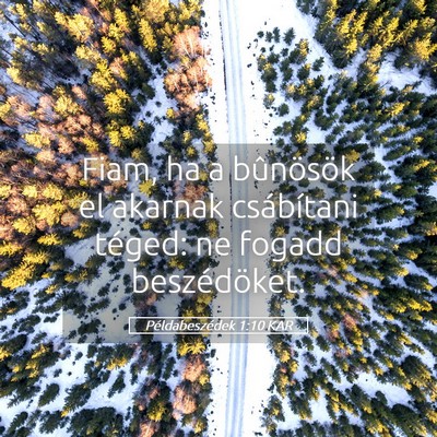 Picture 05 - Példabeszédek 1:10 KAR - Fiam, ha a bûnösök el akarnak csábítani - Bible Verse Picture