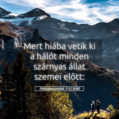Picture 05 - Példabeszédek 1:17 KAR - Mert hiába vetik ki a hálót minden szárnyas - Bible Verse Picture