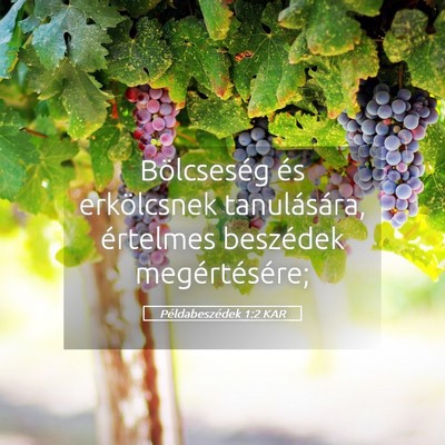 Picture 05 - Példabeszédek 1:2 KAR - Bölcseség és erkölcsnek tanulására, - Bible Verse Picture