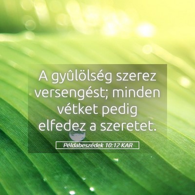 Picture 05 - Példabeszédek 10:12 KAR - A gyûlölség szerez versengést; minden vétket - Bible Verse Picture