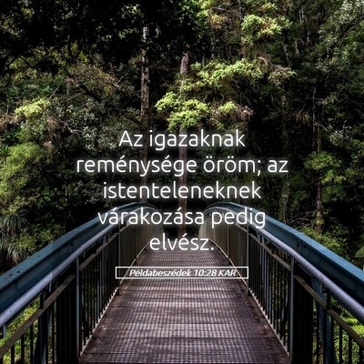 Picture 05 - Példabeszédek 10:28 KAR - Az igazaknak reménysége öröm; az - Bible Verse Picture
